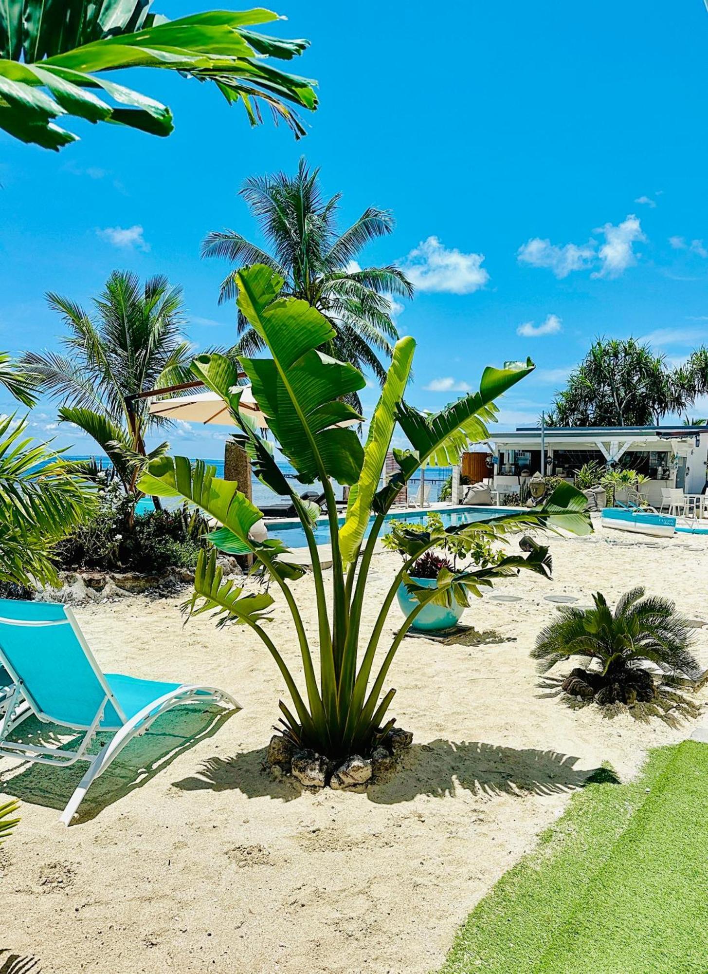 Pension Irivai, Appartement Rava 1 Chambre Bord De Mer Утуроа Экстерьер фото